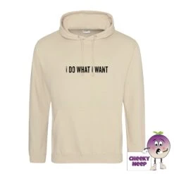 I Do What I Want Hoodie -CheekyNeep Store IdowhatIwantdesertsandhoodie