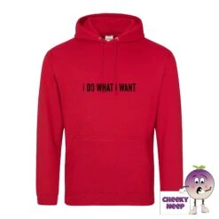 I Do What I Want Hoodie