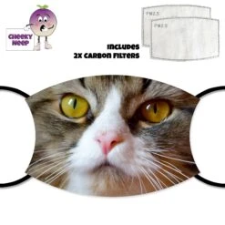 Tortoise Cat Face Cover With Filters