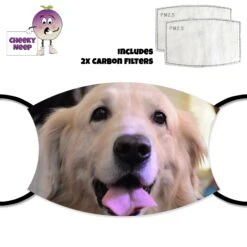 Retriever Dog Face Cover With Filters