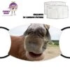 "Yeah Right!" Horse Face Cover With Filters 2 "Yeah Right!" Horse Face Cover With Filters -CheekyNeep Store face cover horse 5 CN 0018 0114 by cheekyneep.com
