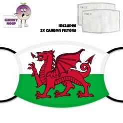 Welsh Flag Face Cover With Filters